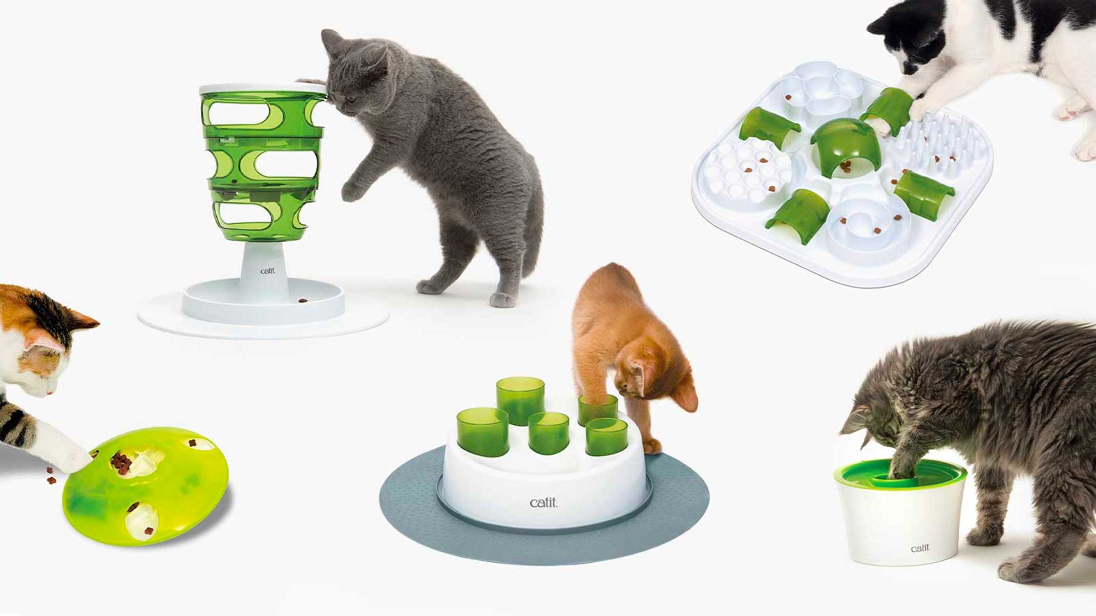 https://www.catit.com/wp-content/uploads/2021/11/Header-Why-does-my-cat-need-a-slow-feeder.jpg