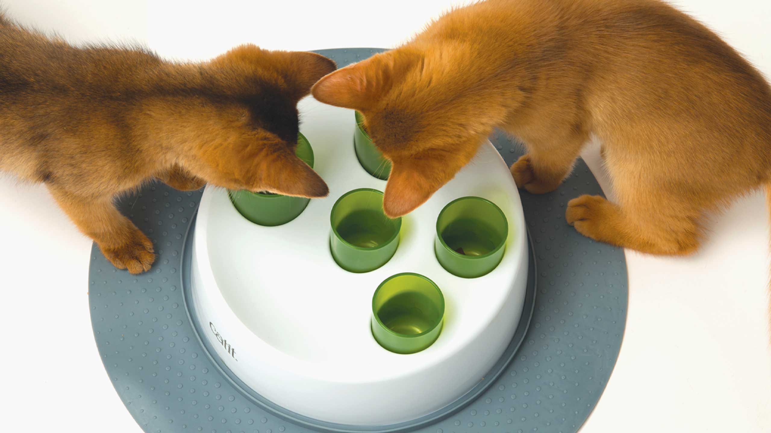 https://www.catit.com/wp-content/uploads/2022/03/1.-Interactive-slow-feeder-that-promotes-more-active-mealtimes.jpg