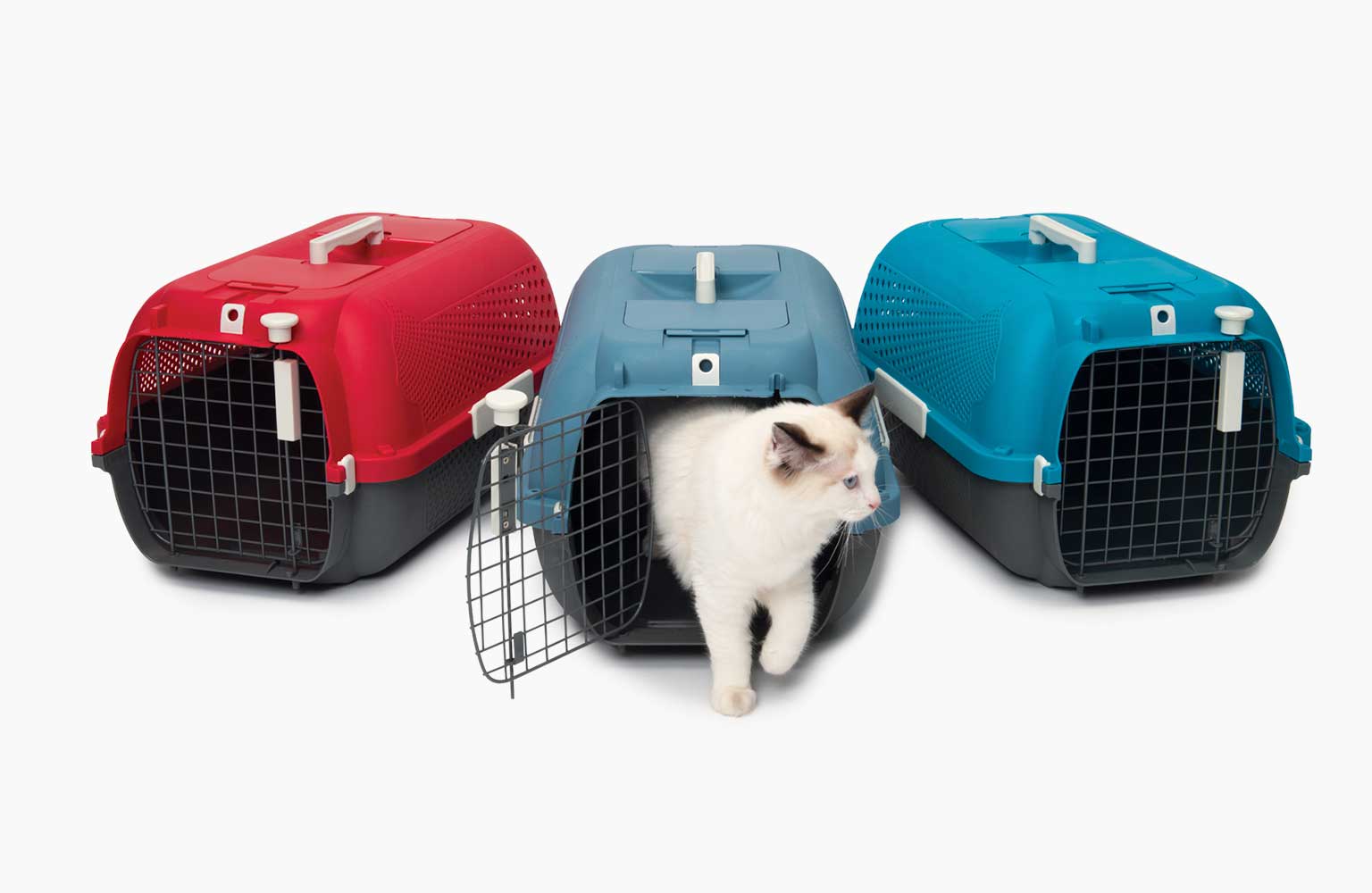 Cage de transport pour chats, rouge cerise - Catit