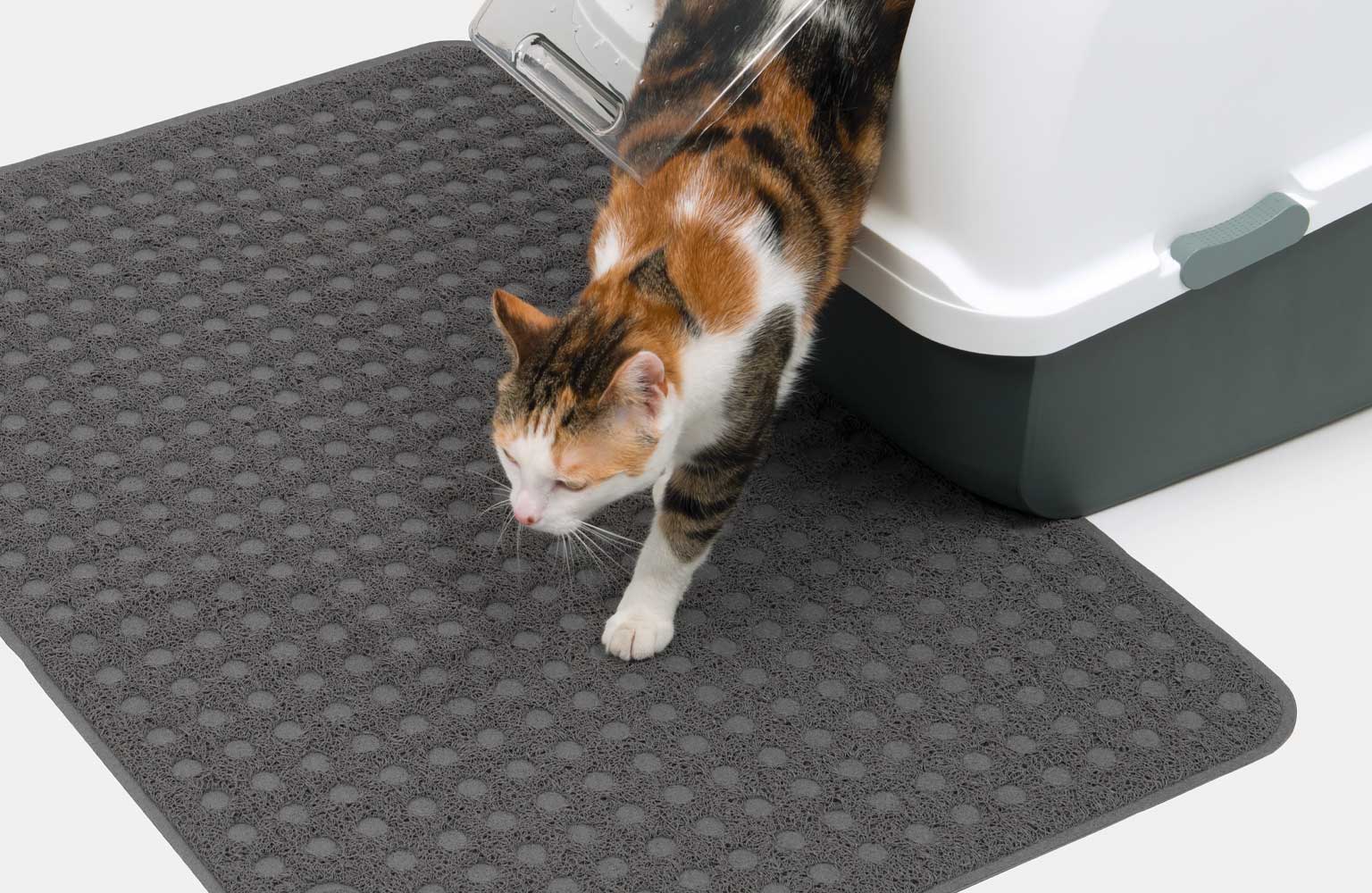 Guía para comprar las mejores alfombras para gatos con arenero -  Casacochecurro