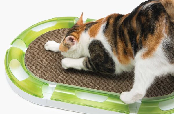 Catit Senses Oval Scratcher - Products