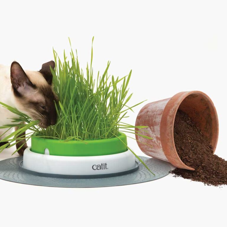 Catit Senses Grass Planter Products