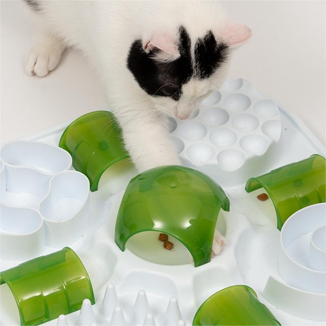 CatIt catit play cat treat puzzle, interactive cat toy, 43010, white