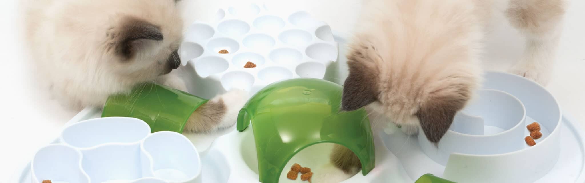 catit treat puzzle