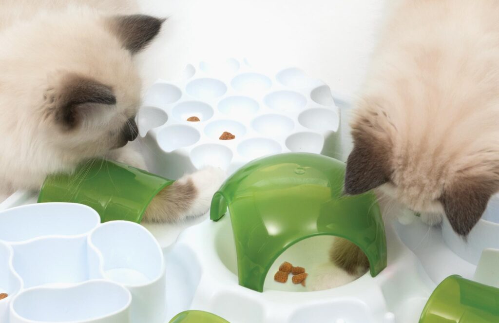 catit treat puzzle