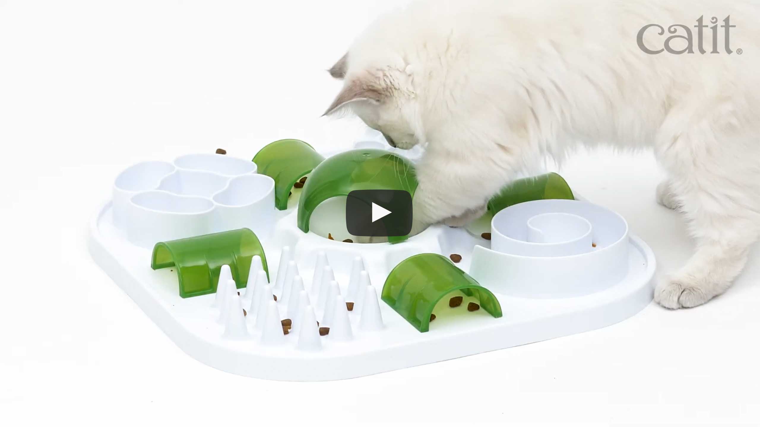 6 DIY Cat Puzzle Feeders