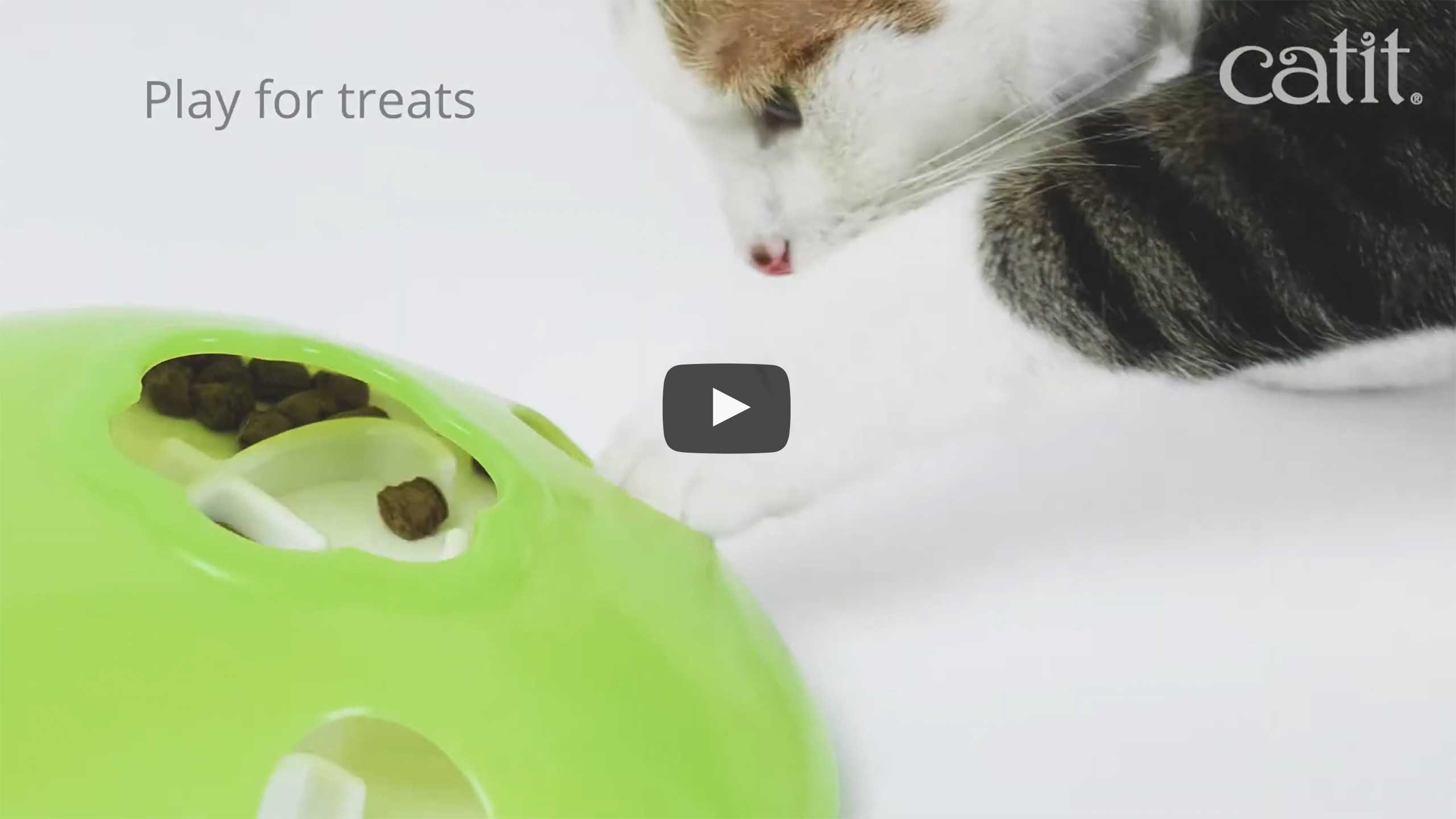 Cat Senses Food Maze Treat Food Cat Toy Pet Interactive Toys Cats Feeder  Playset