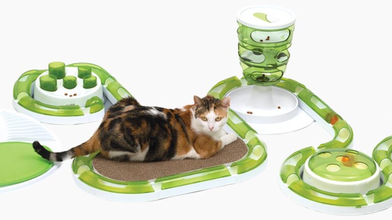 catit toys