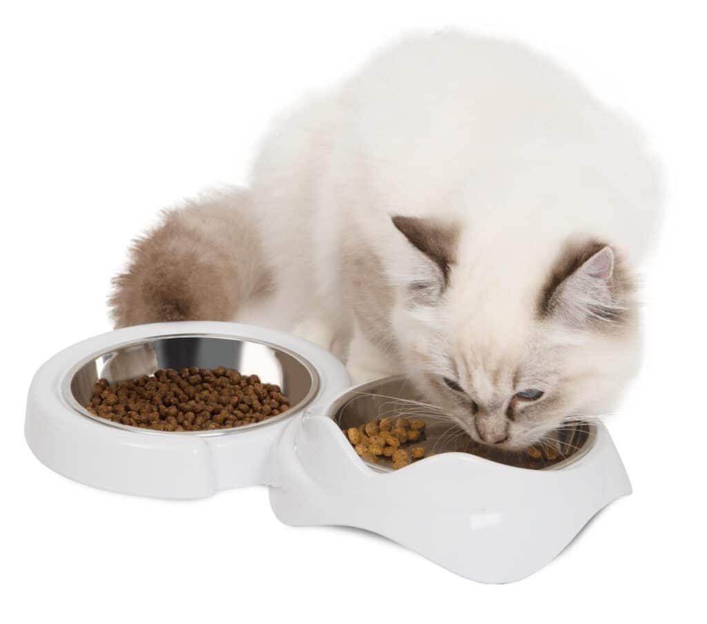 Catit PIXI Feeding Dishes - Products