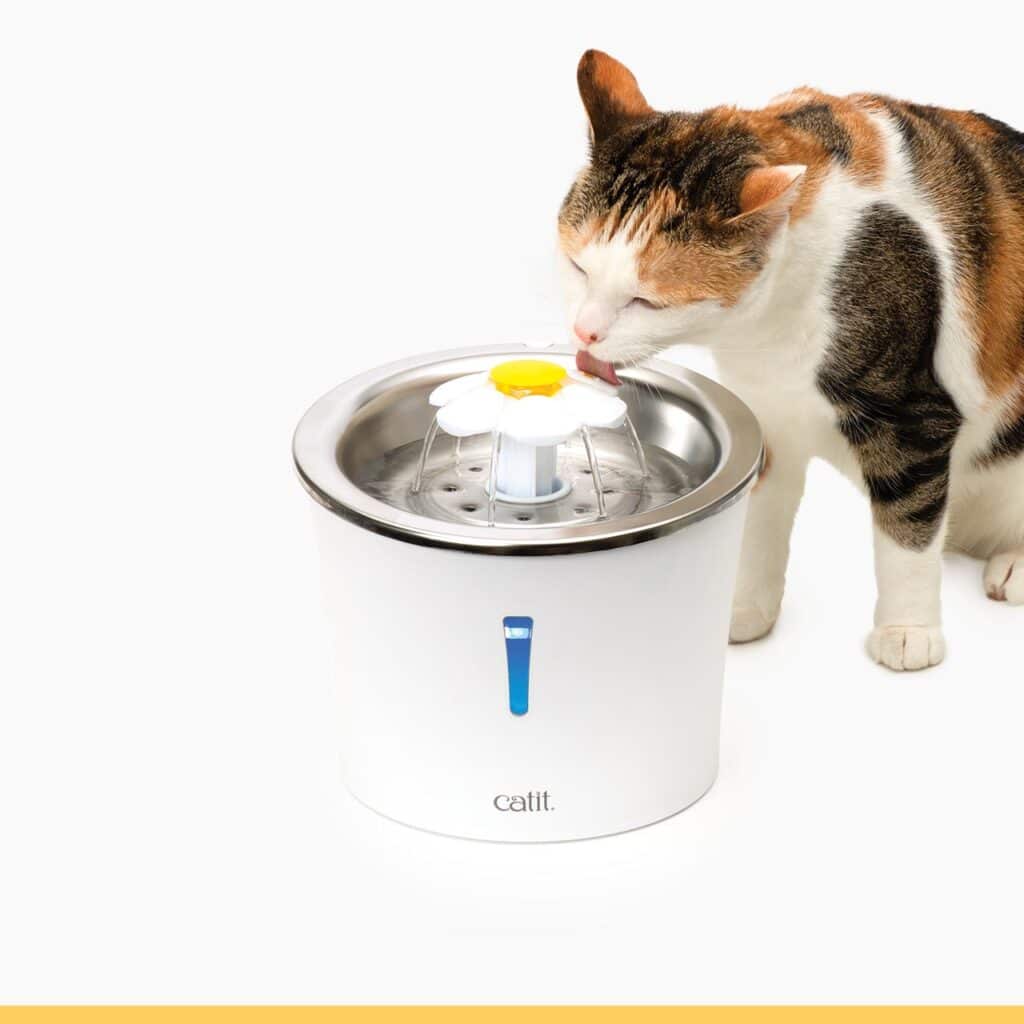 Cat Drinking Fountains - Catit Products