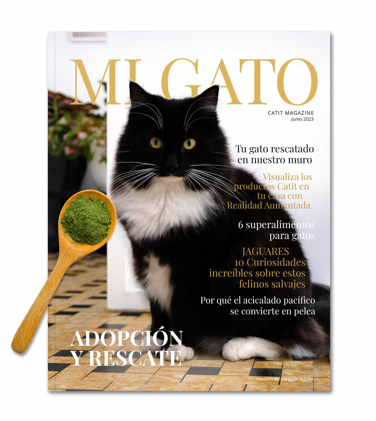 Mi Gato - Junio 2024