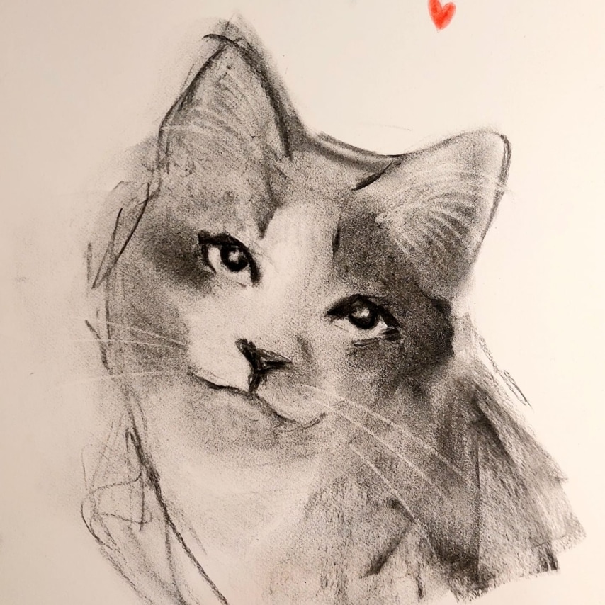 Cat art entry