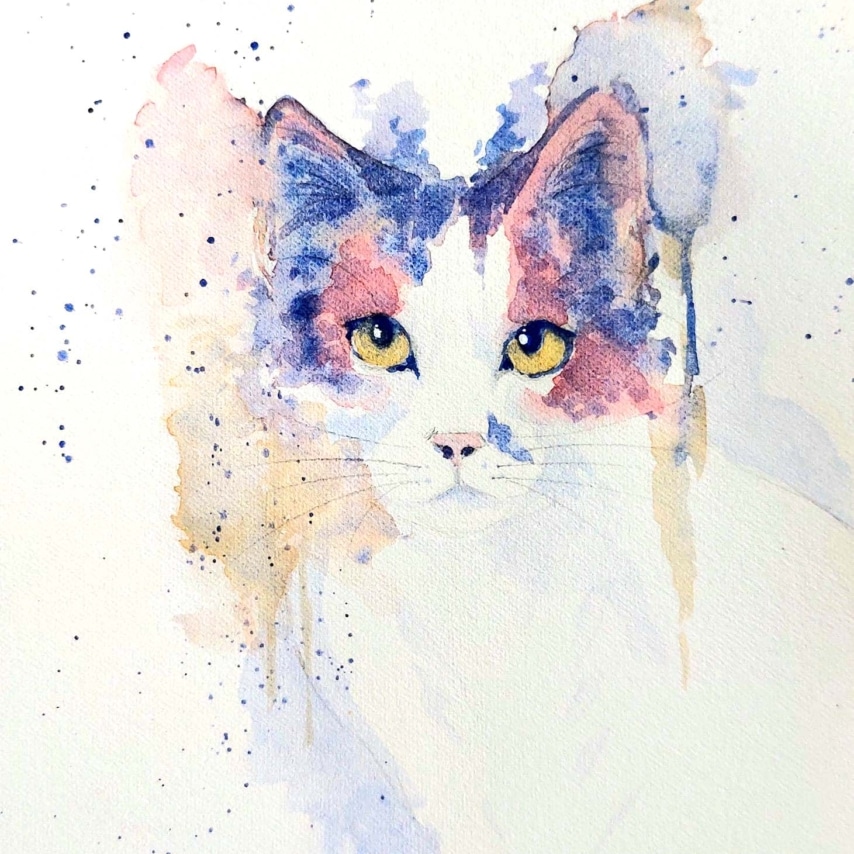 Cat art entry