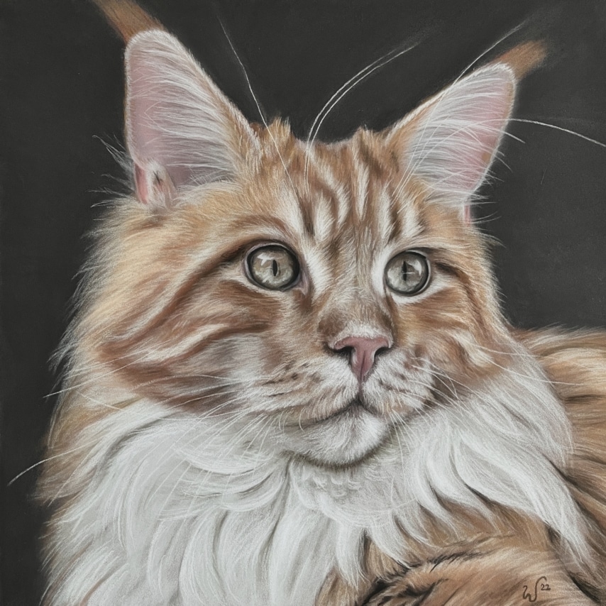 Cat art entry