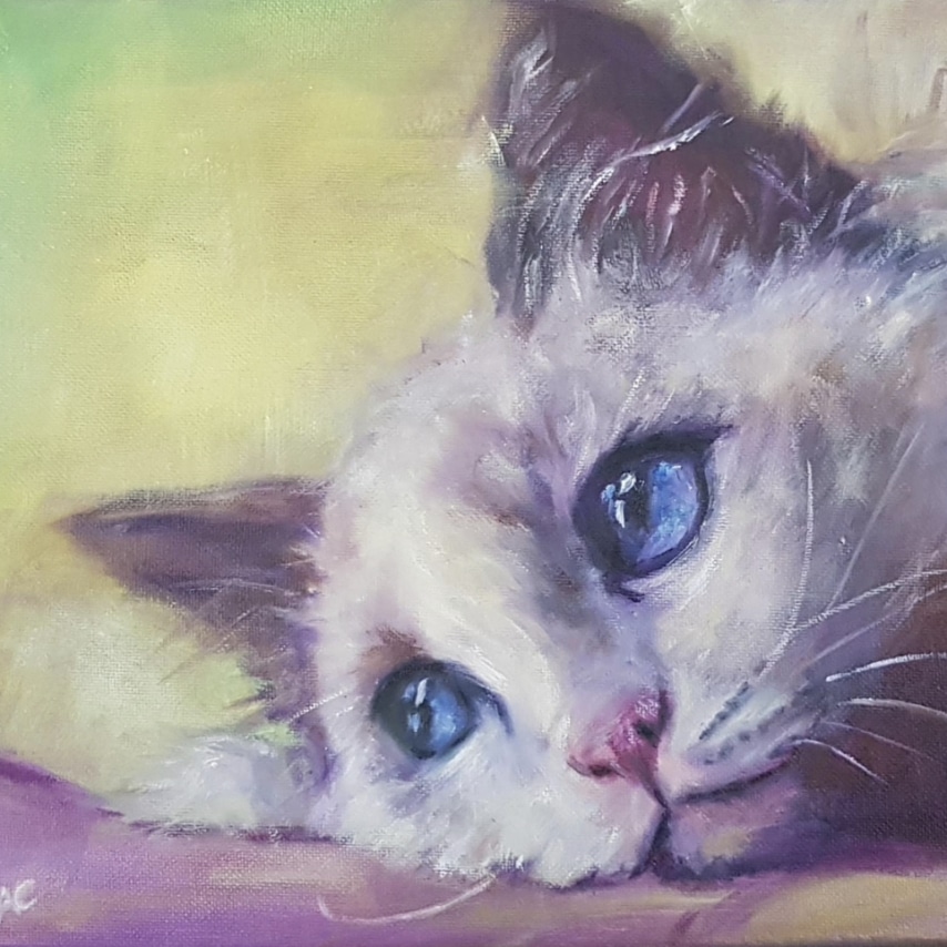 Cat art entry