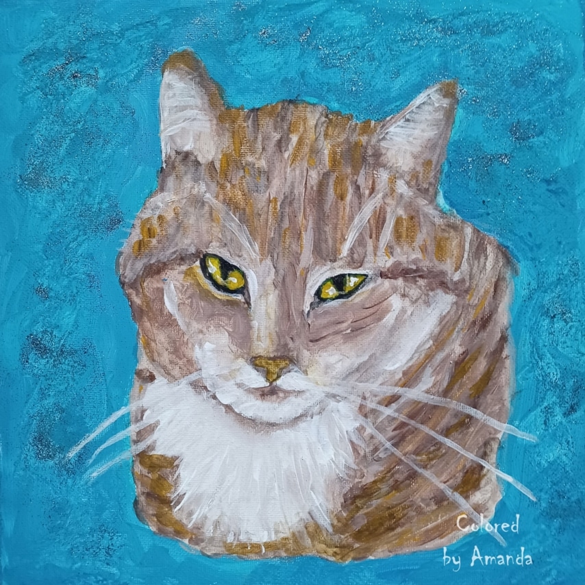 Cat art entry