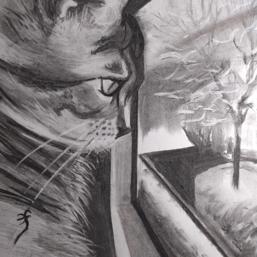 Cat art entry