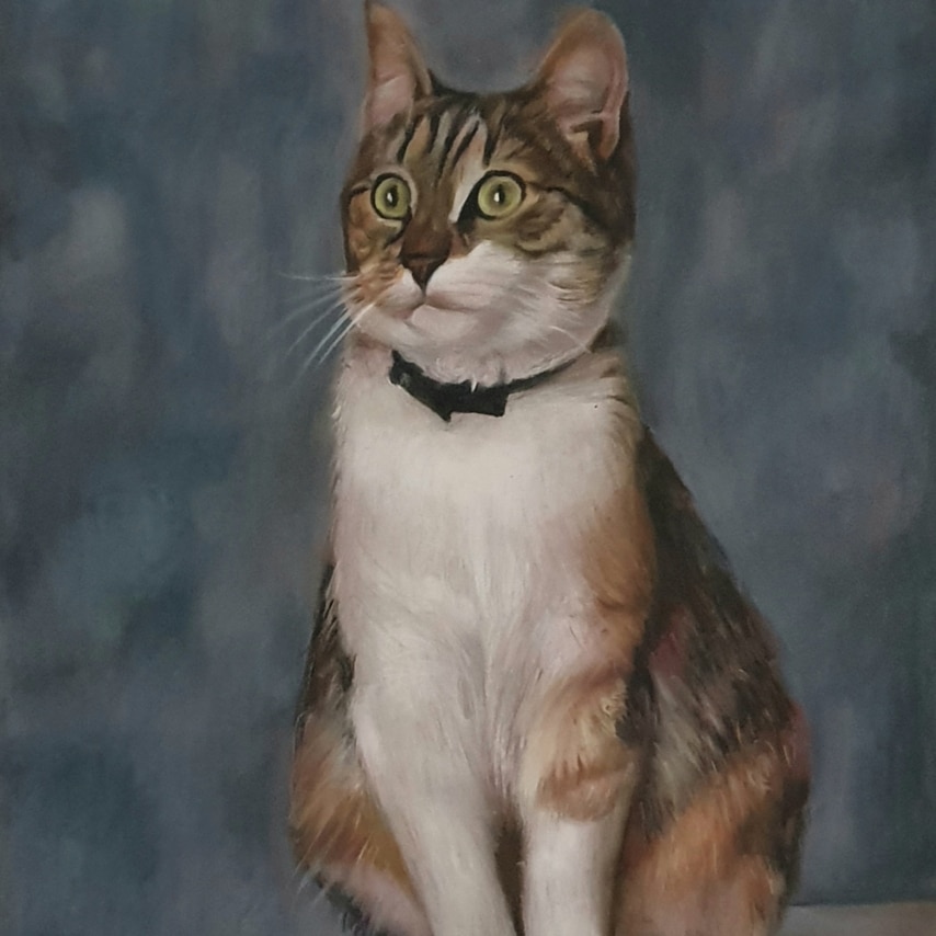 Cat art entry