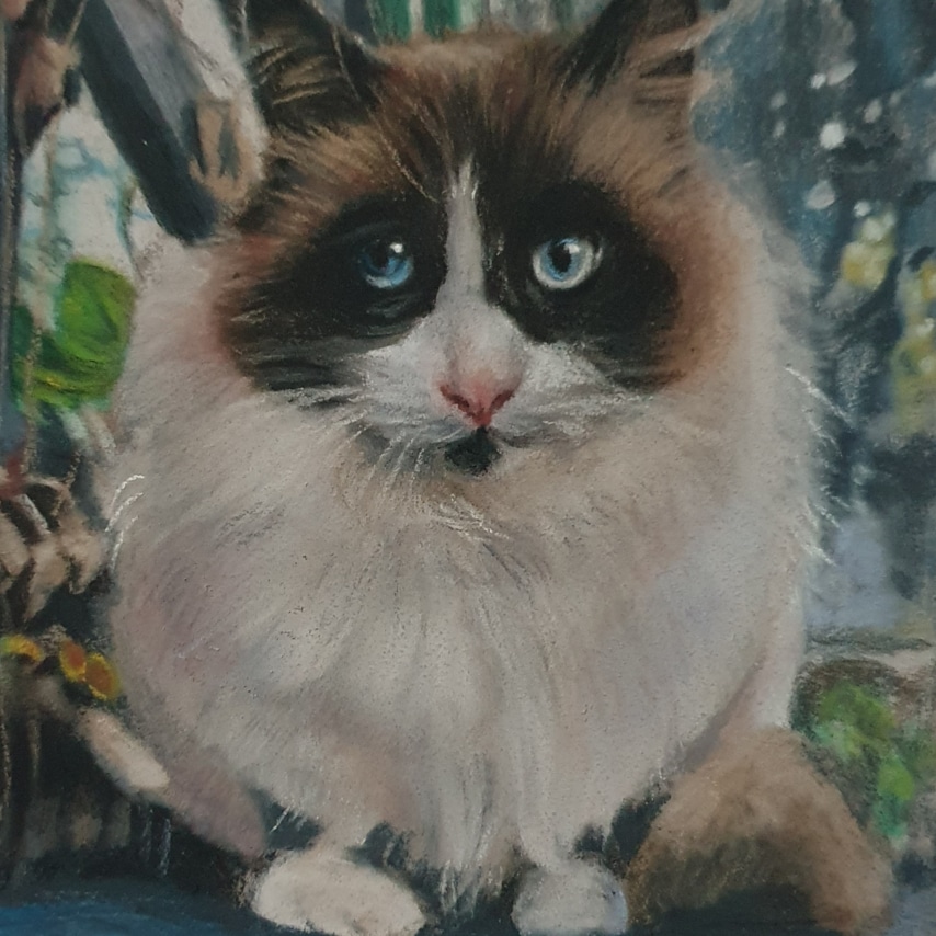 Cat art entry