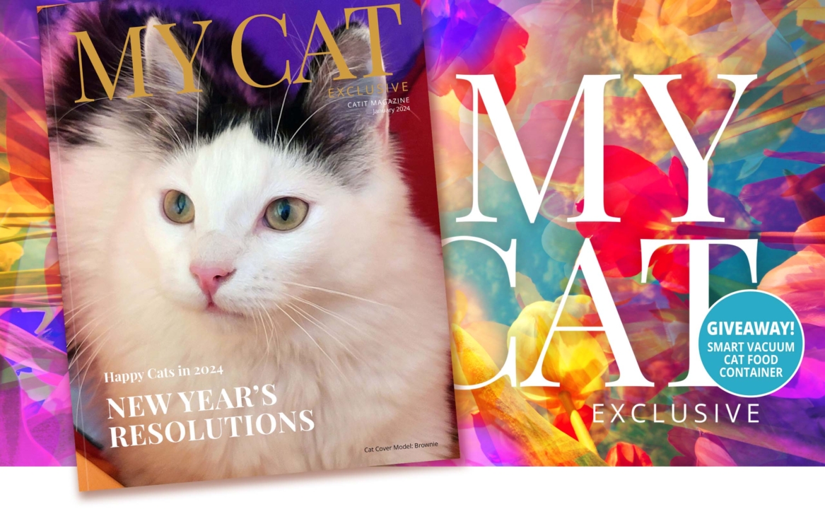 My Cat Exclusive January 2024 Catit   My Cat January 2024 Banner Desktop EN 1167x720 