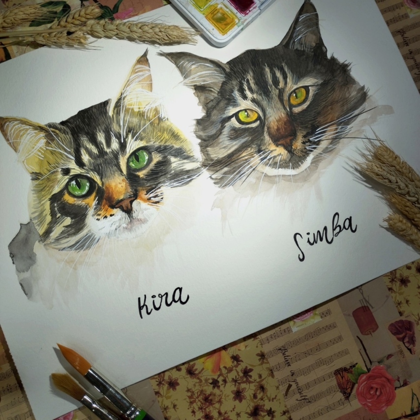 Cat art entry