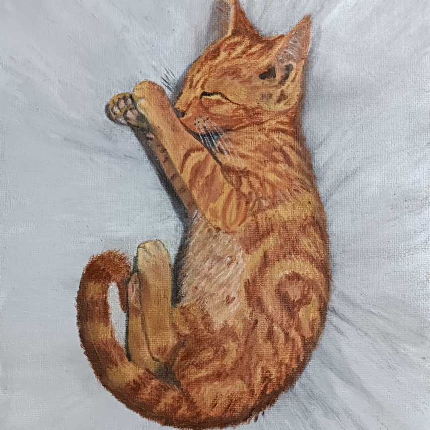 Cat art entry