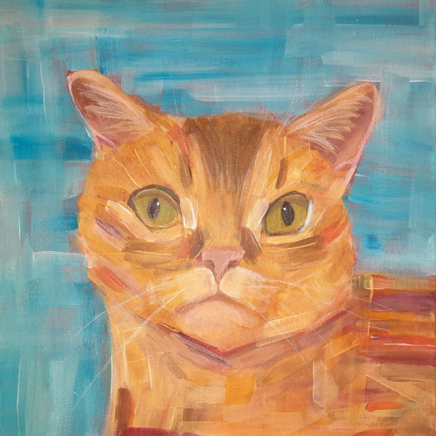 Cat art entry