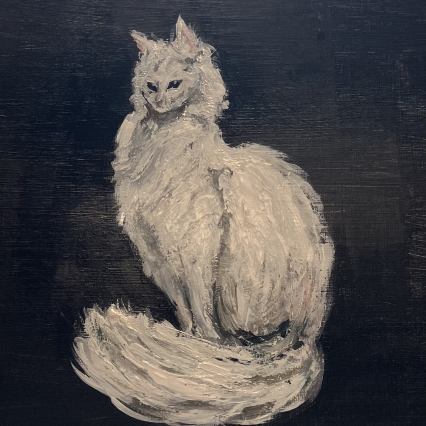 Cat art entry