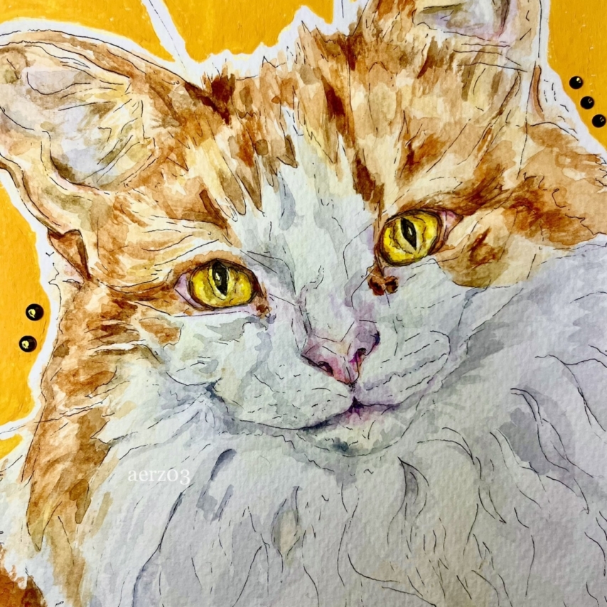 Cat art entry