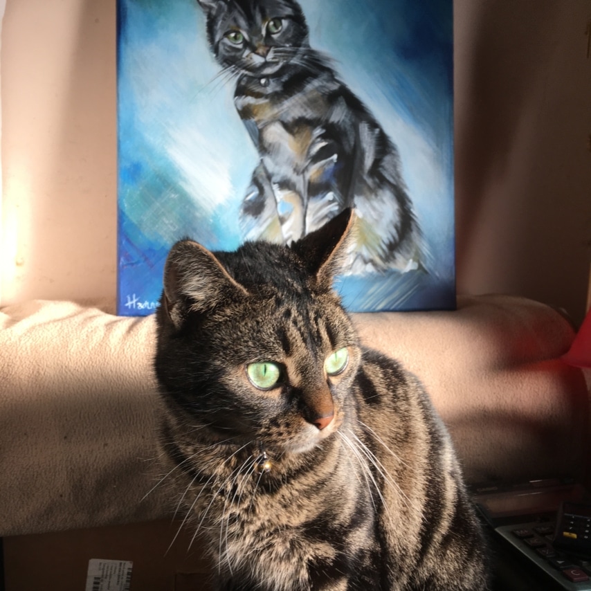 Cat art entry