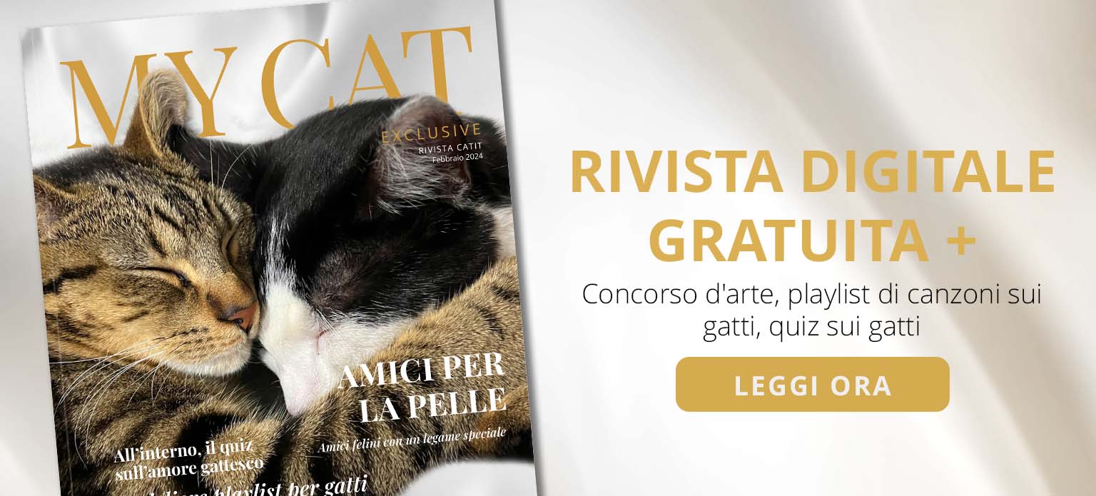 Comunicazione della coda del gatto - Centro di cultura felina - Tutto sul  comportamento del gatto