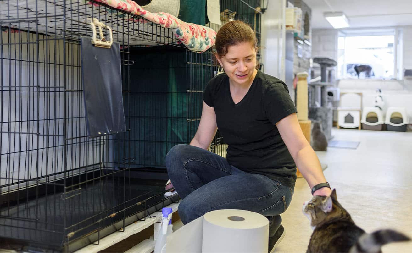 A volunteer at a pet shelter