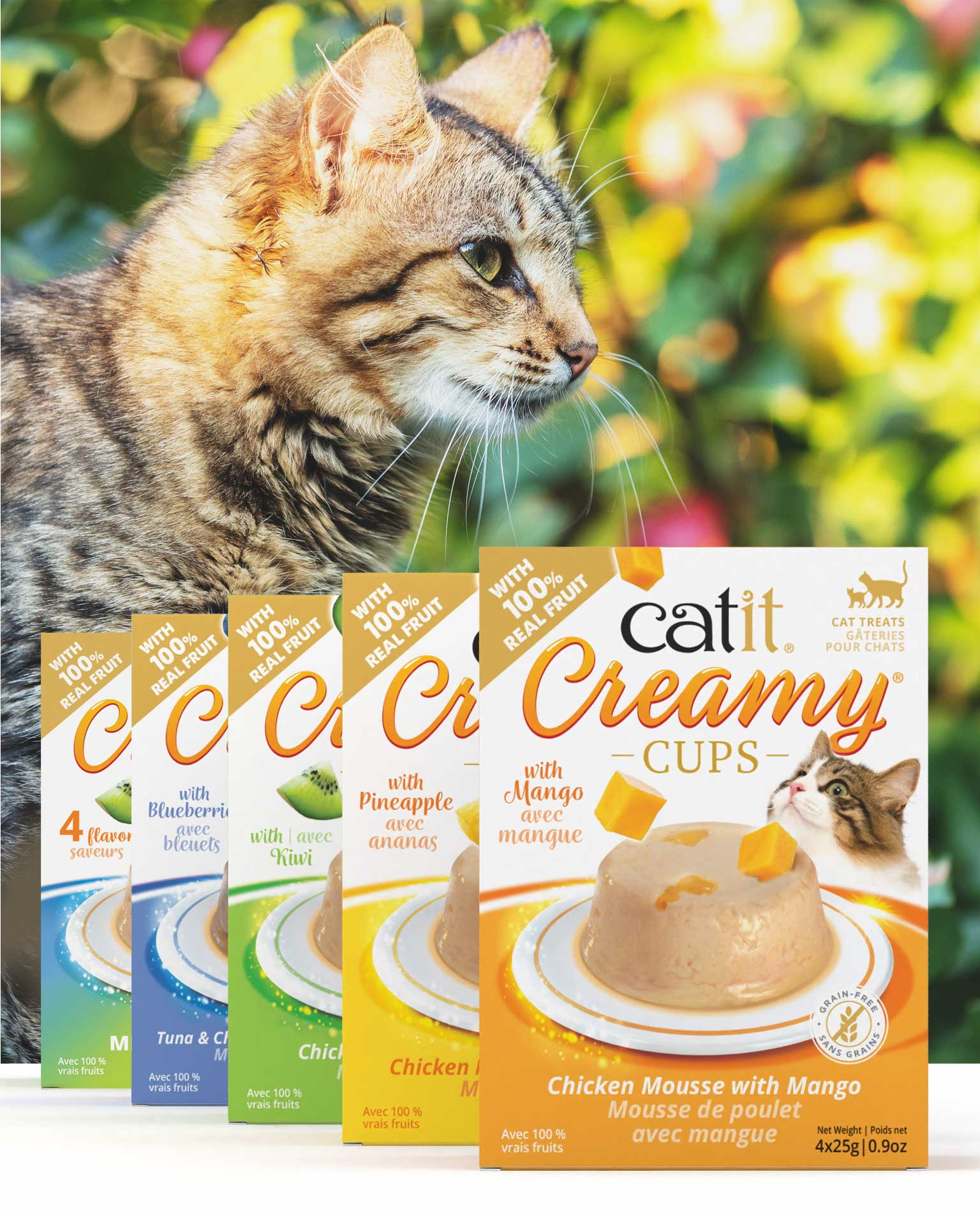 Catit Creamy Cups