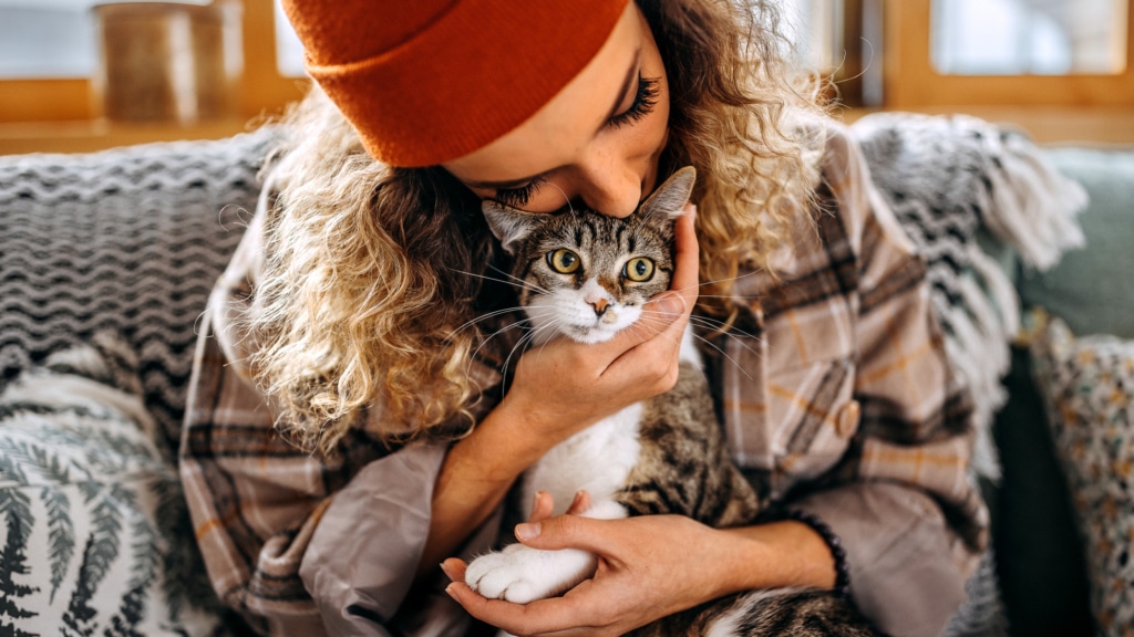7 wunderbare Möglichkeiten, Katzen in Not zu helfen