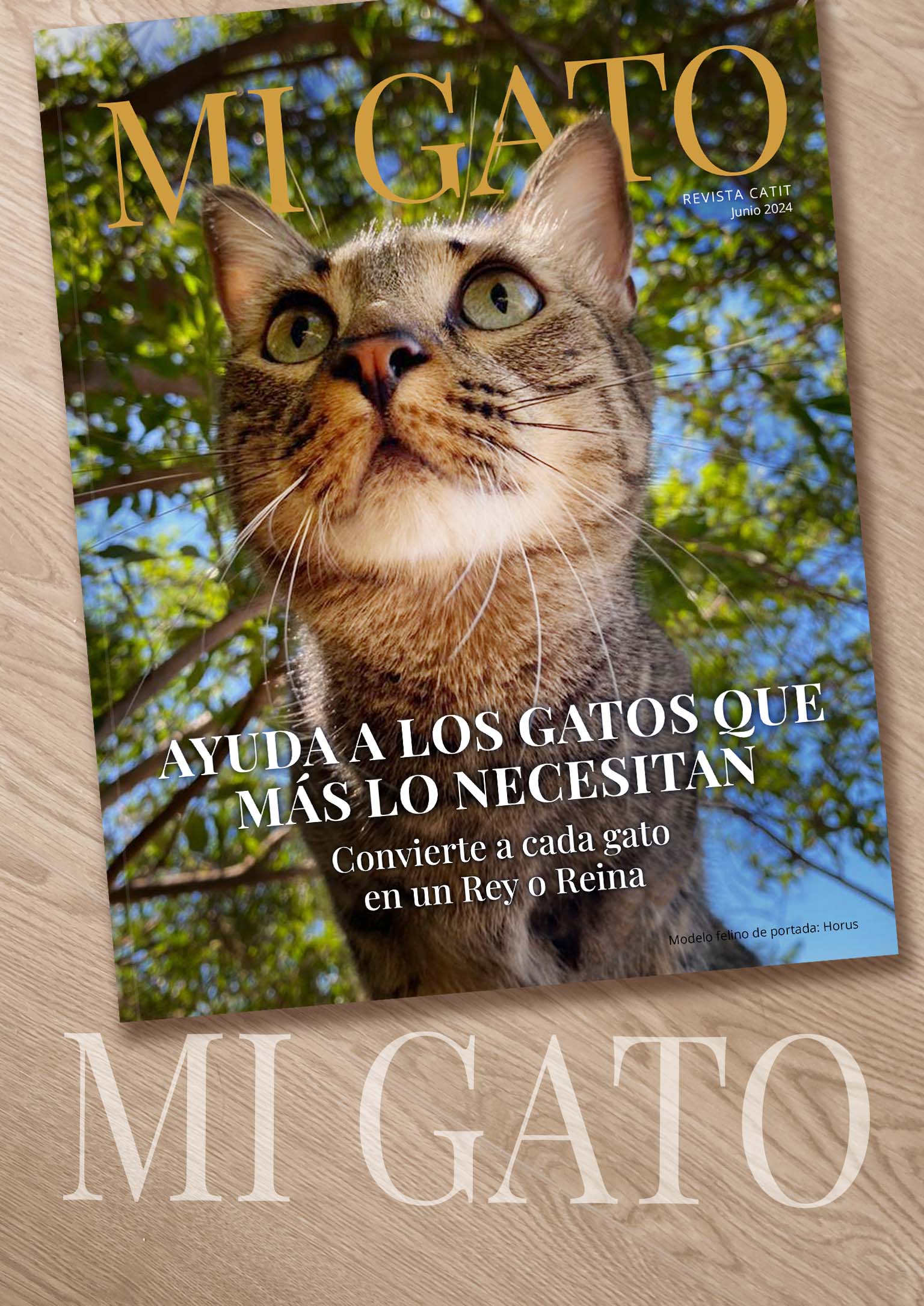 Mi Gato Junio 2024