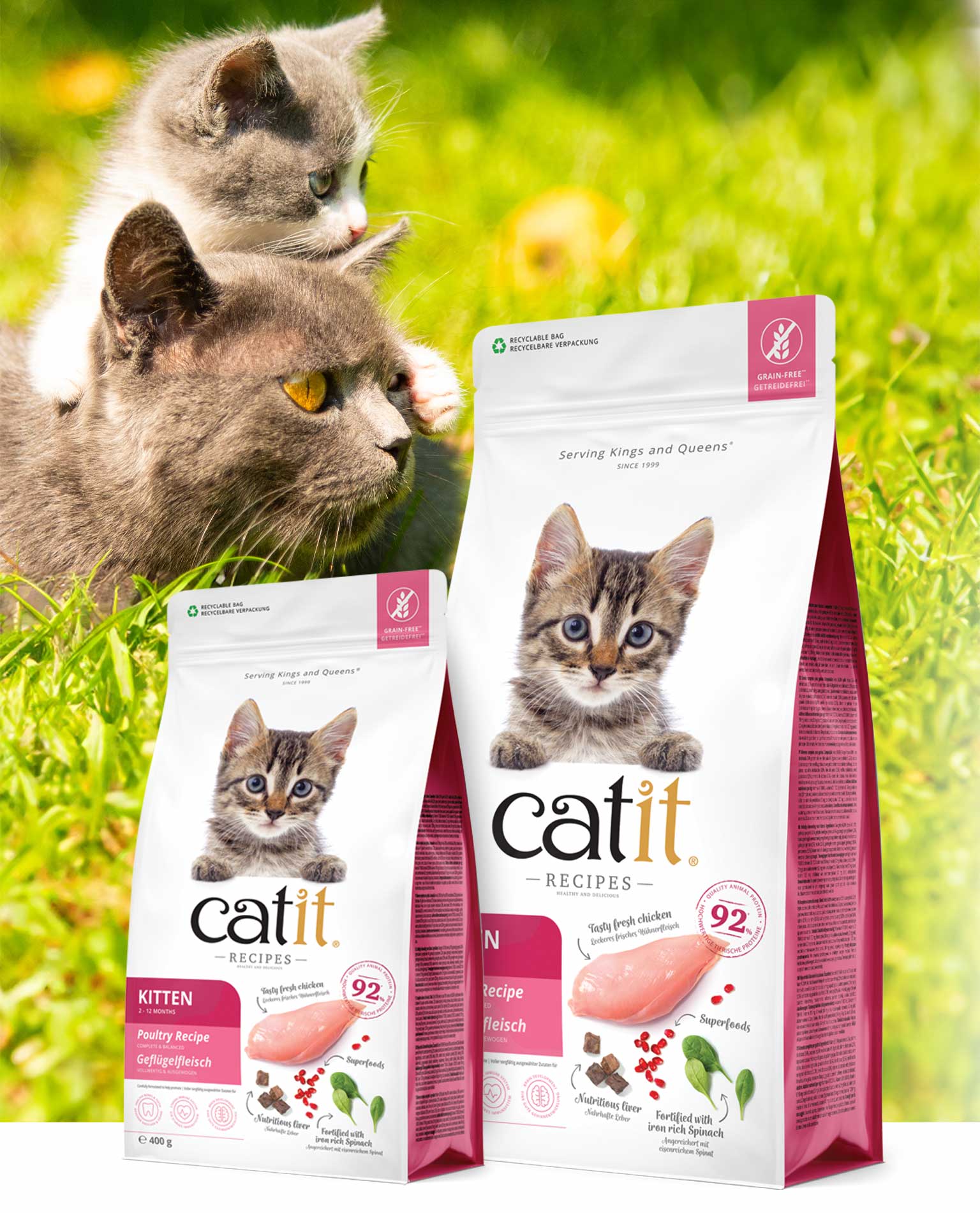 Catit Recipes KITTEN / Poultry Recipe