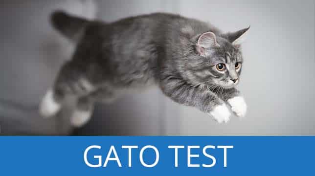 Gato test