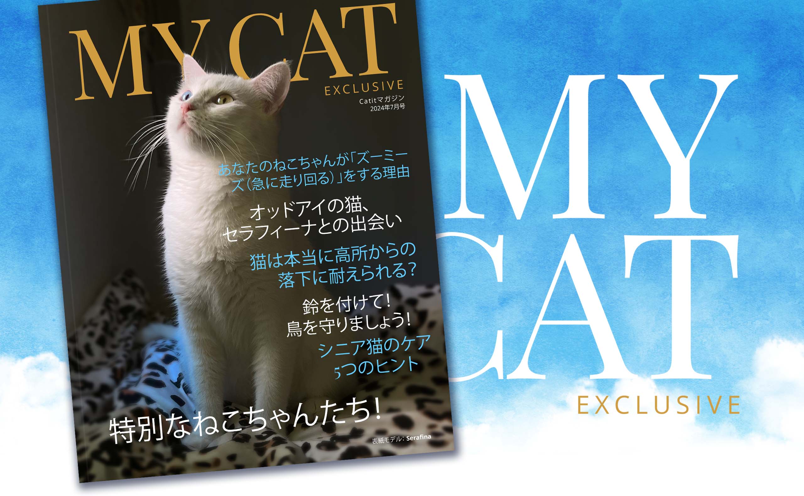 My Cat Exclusive - 2024年7月号