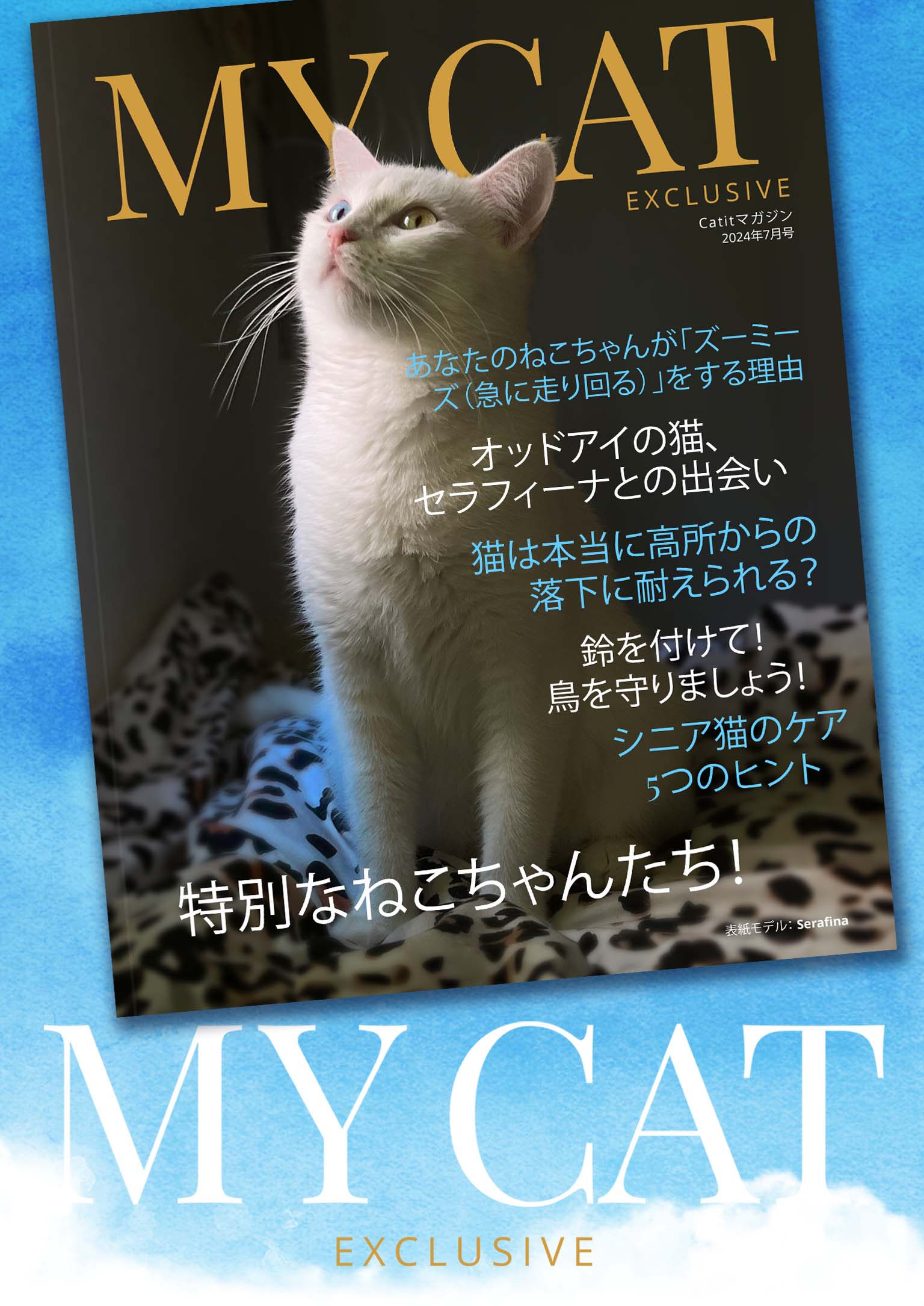 My Cat Exclusive - 2024年7月号