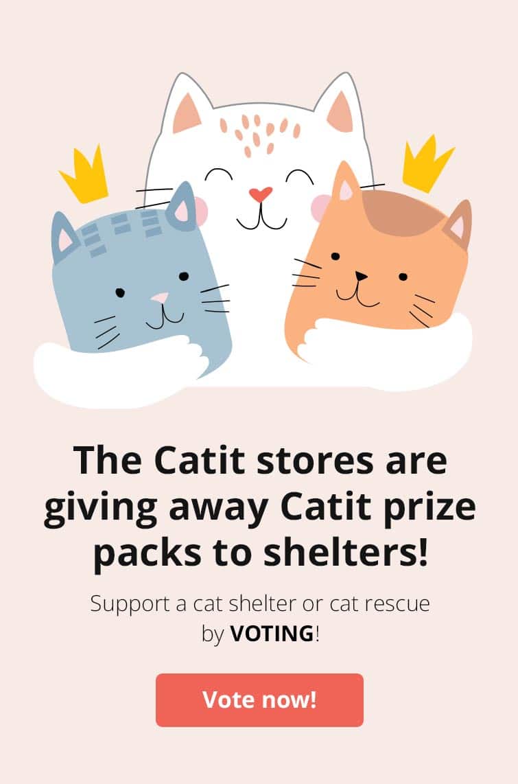 Shelter contest voting