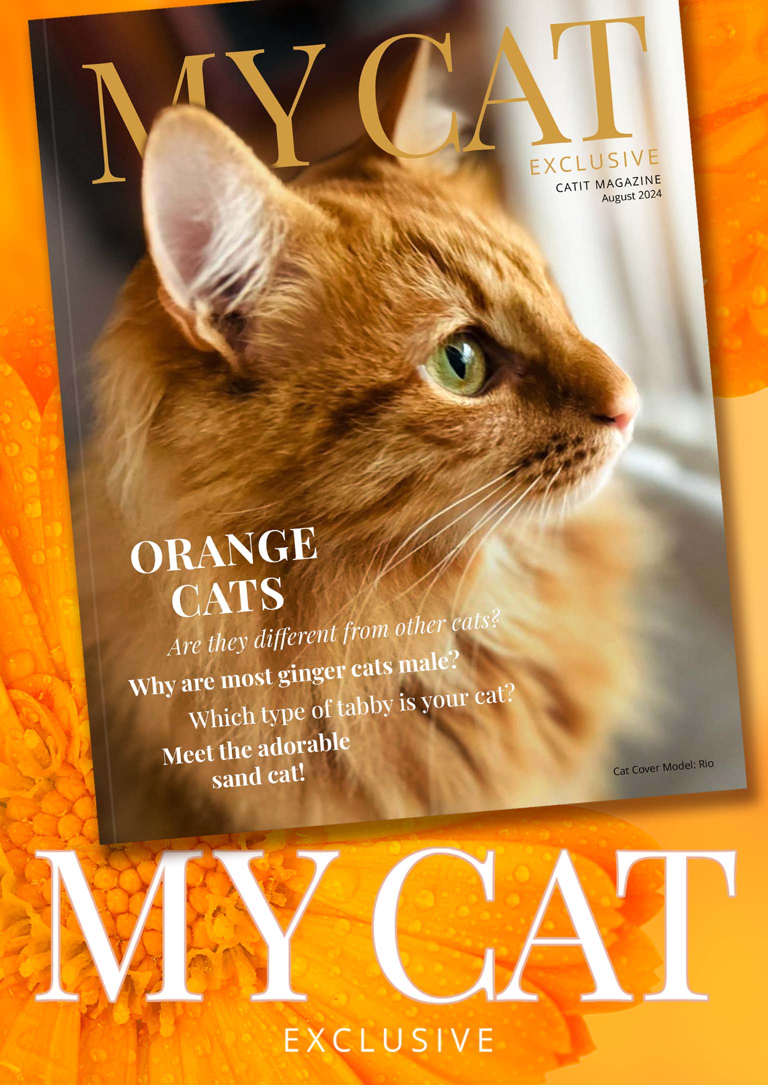 Catit e-magazine / August 2024