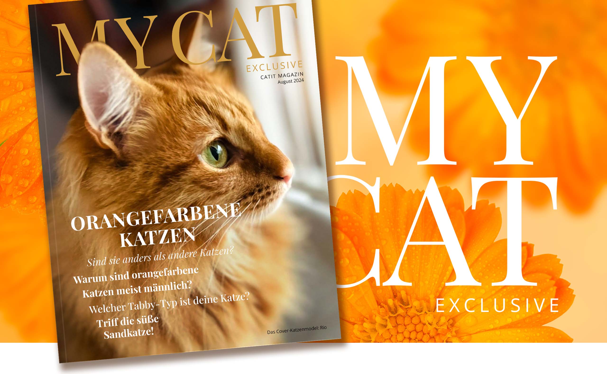 Catit e-magazin / August 2024