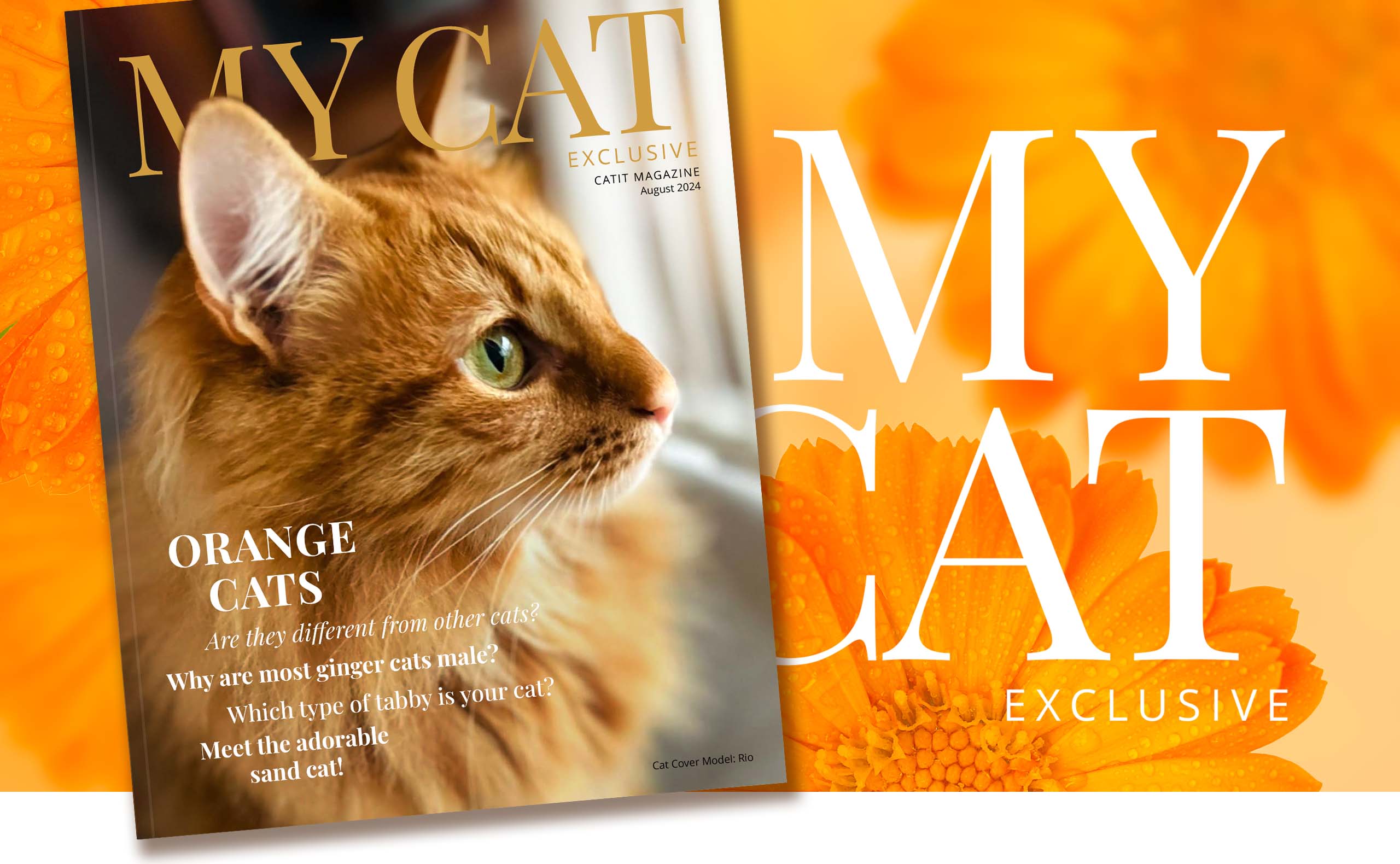 Catit e-magazine / August 2024