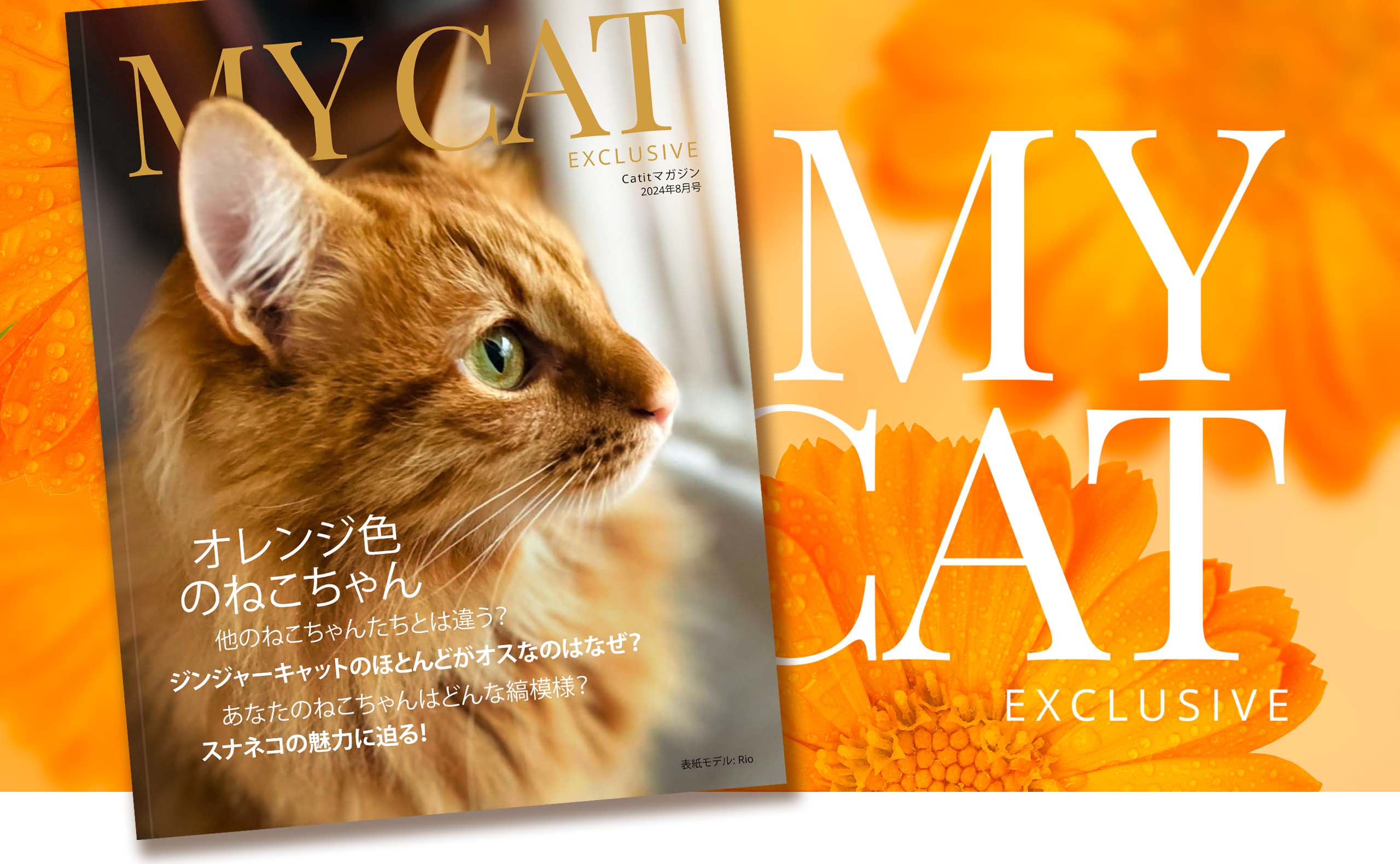 Catit e-magazine / 2024年8月号