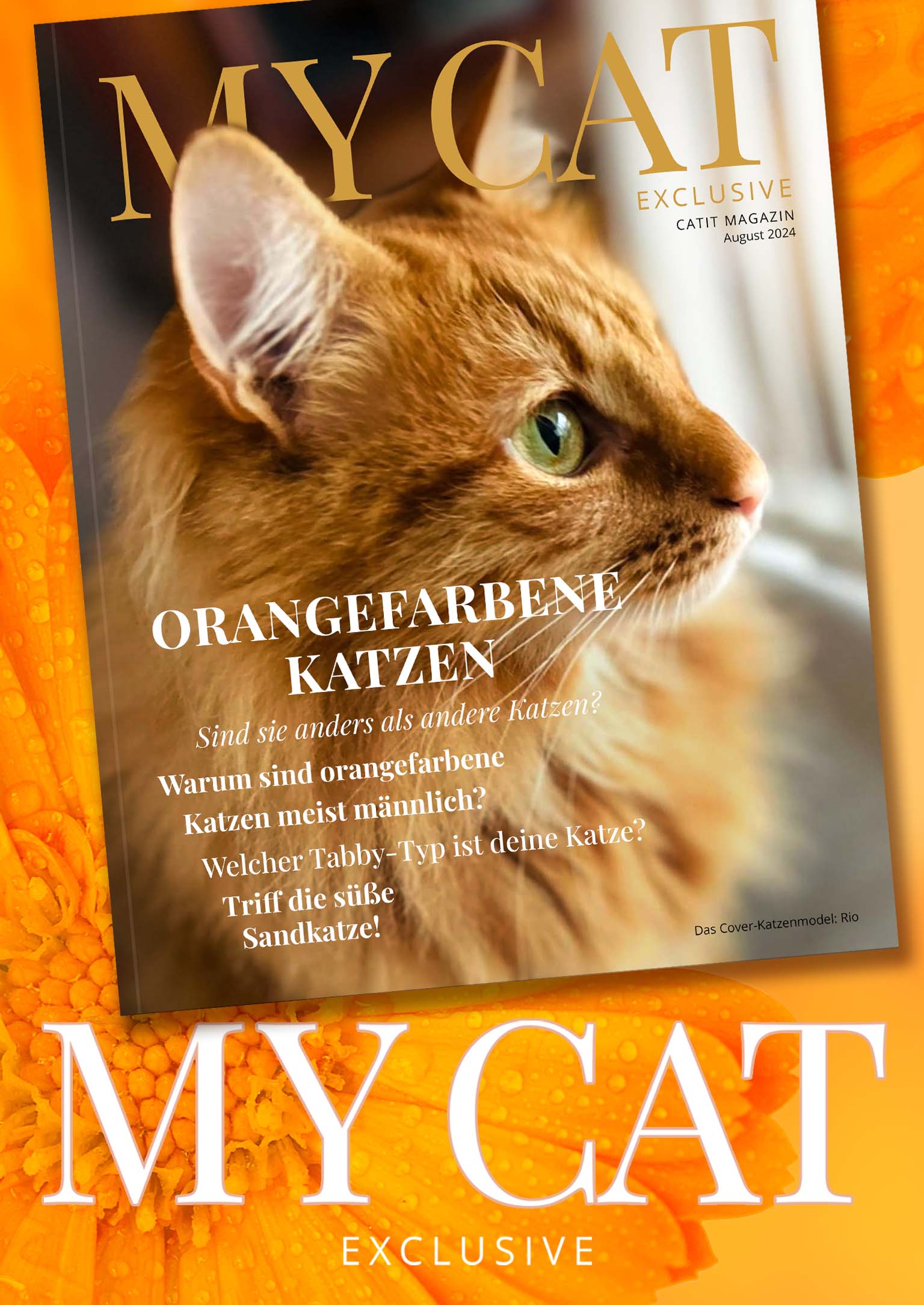 Catit e-magazin / August 2024