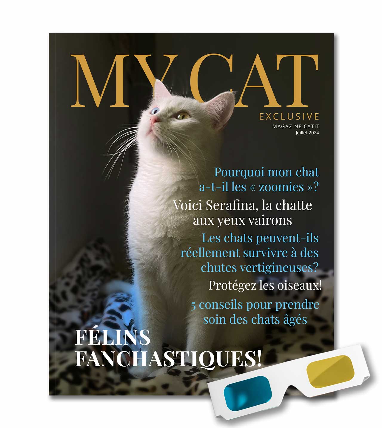 My Cat Exclusive - Juillet 2024