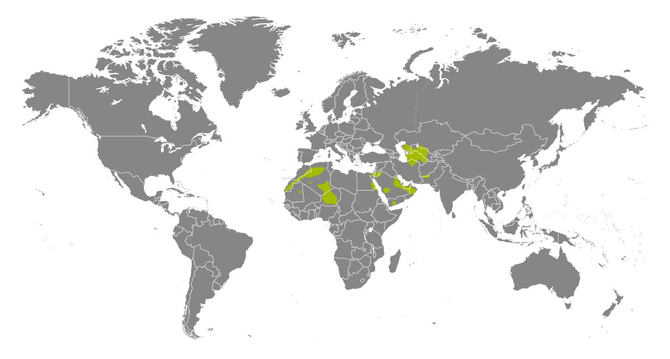 Área geográfica do gato-do-deserto (aprox.)