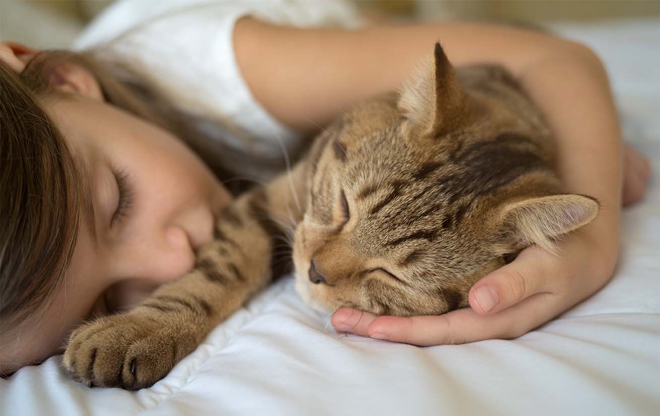 Sleeping with a cat