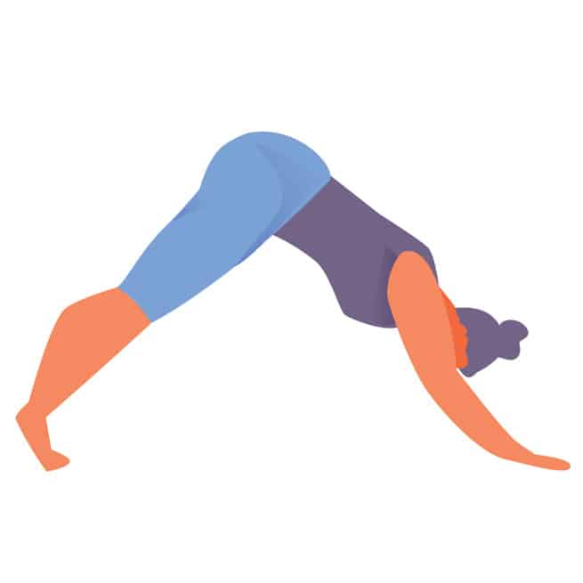 Adho Mukha Svanasana