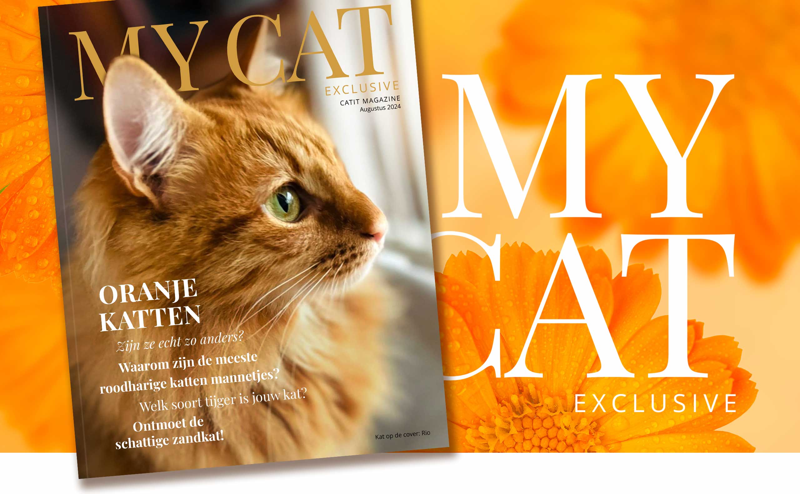 My Cat Exclusive – Augustus 2024